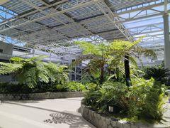 -华大咖啡(华大时空中心店)