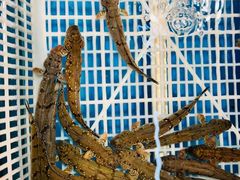 -崖口红树林海鲜餐厅