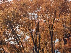 -山王坪喀斯特国家生态公园