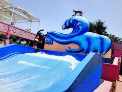 iphone_upload_pic-上海玛雅海滩水公园