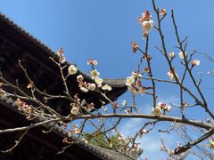 -钱王祠
