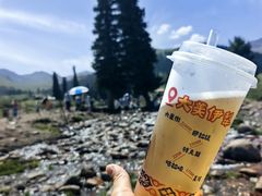 -新疆那拉提国家旅游度假区