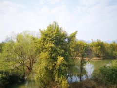-会仙湿地