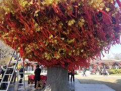 -狼山风景名胜区