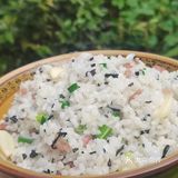 美食探店之野生菌火锅