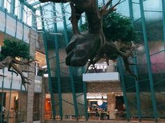 -大族广场Mall&More