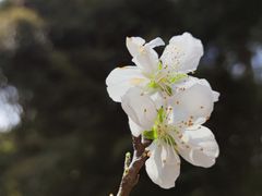 -上海滨江森林公园