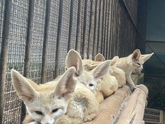 -昆明动物园