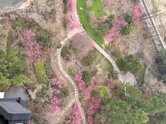 -梁祝景区