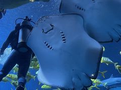 -太平洋海底世界