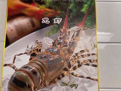 -肥佬椰子鸡(文锦渡店)