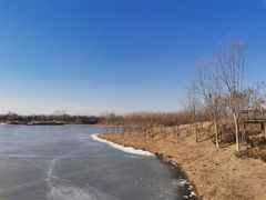 -东郊湿地公园