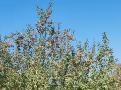 -春晖园度假酒店温泉