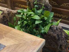 -蜀大侠火锅(四川北路店)