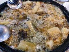 -七采菌园·石锅鱼野生菌火锅(环城北路店)