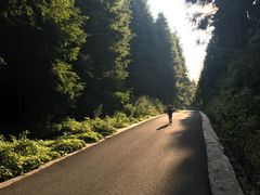 -山王坪喀斯特国家生态公园