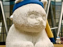 -深圳湾万象城(南山店)