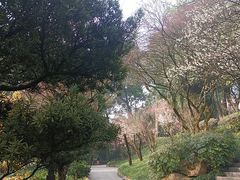 -南山植物园
