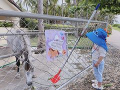 -三亚亚龙湾天域度假酒店