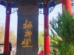 -桃花堤公园