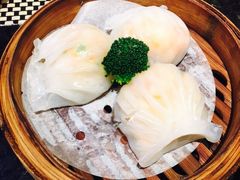 -新兴·金羊座·粤菜点心(乐峰店)
