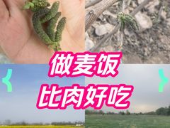 -汉长安城未央宫国家考古遗址公园