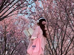 -梦之蓝青奥体育公园体育馆
