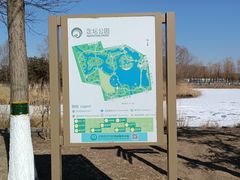 -大兴滨河森林公园