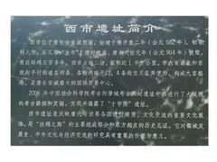 -西安大唐西市博物馆