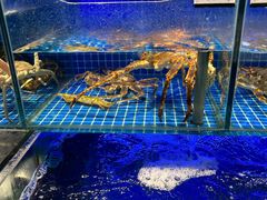 -明州小宴(文化广场店)