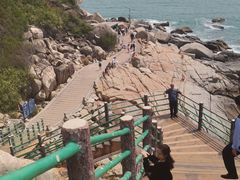 -广东惠东海龟国家级自然保护区