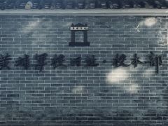 -长洲岛