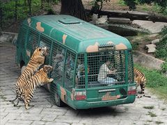-深圳野生动物园