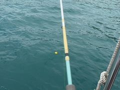 -小猫钓鱼海钓俱乐部(椰梦长廊店)