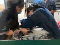 -瑞派紫金宠物医院24小时·骨科·中兽医·重症转诊中心(番禺大石院)