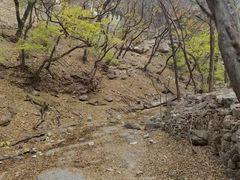 -龙洞风景区-藏龙涧