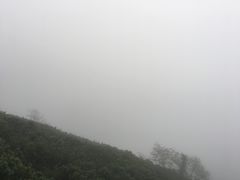 -凤凰山国家森林公园