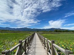 -野鸭湖国家湿地公园