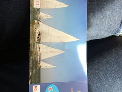 -海豚湾扬帆出海帆船游艇