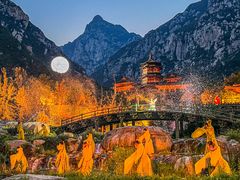 -禅宗少林·音乐大典