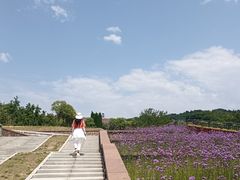 -黄河小浪底水利枢纽风景区