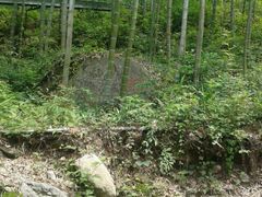 android_upload_pic-浙北大峡谷