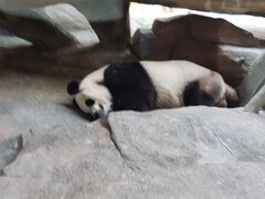 -宁波野生动物园