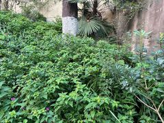 -北极阁公园