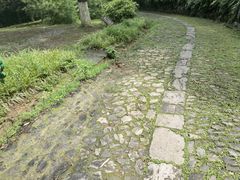 -南山风景名胜区
