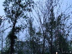 -桂溪生态公园