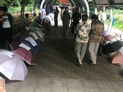 -人民公园-相亲角