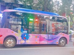 -攀枝花公园