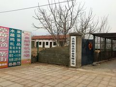 -大自然农场蔬菜草莓采摘园