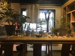 -柴务处·柴犬主题狗咖